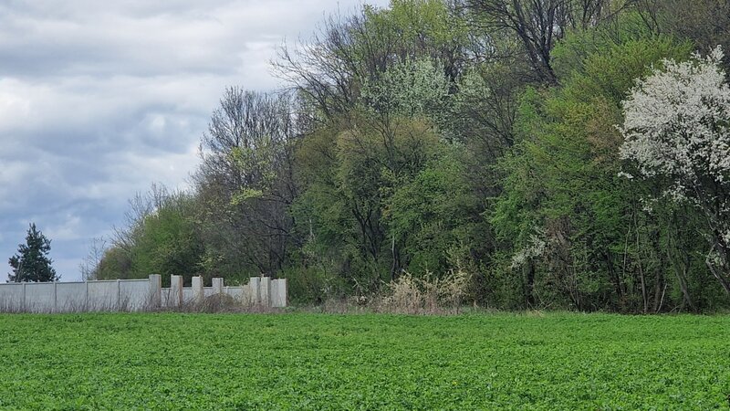 Snagov Teren intravilan 500 mp  langa Padurea Snagov  IZVORANI