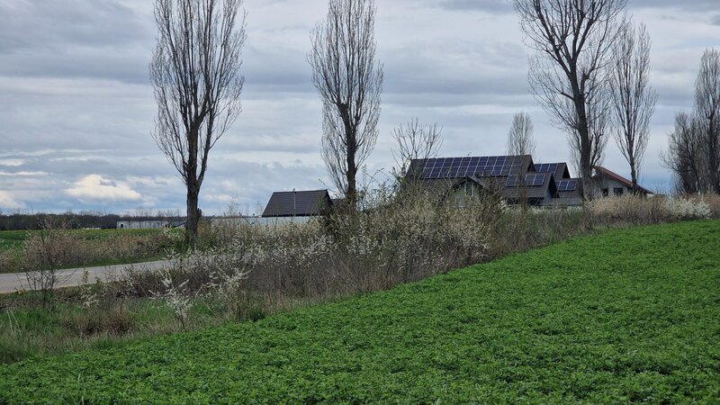 Snagov Teren intravilan 500 mp  langa Padurea Snagov  IZVORANI